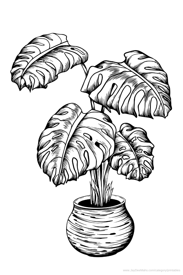 Houseplants Coloring Page: Monstera Deliciosa (and Fun Ideas for Using